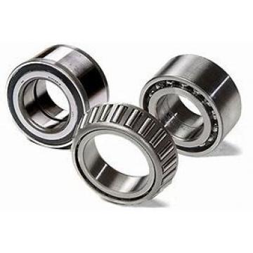 ZWZ NU2311M CHINA Bearing