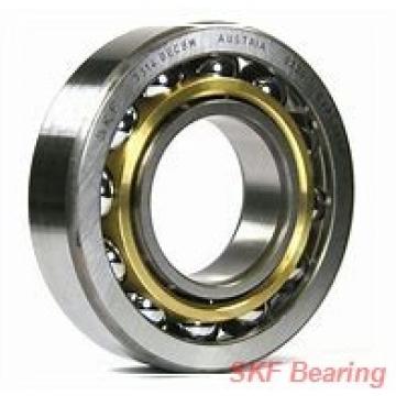 SKF Bearing 6232M/C3 JAPAN Bearing 160*290*48