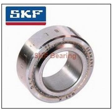 SKF 6213-C3  MALAYSIA Bearing 65x120x23