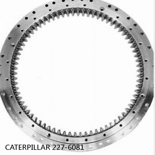227-6081 CATERPILLAR SLEWING RING for 320D