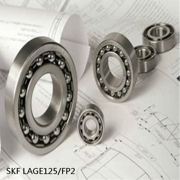 LAGE125/FP2 SKF Bearings Grease