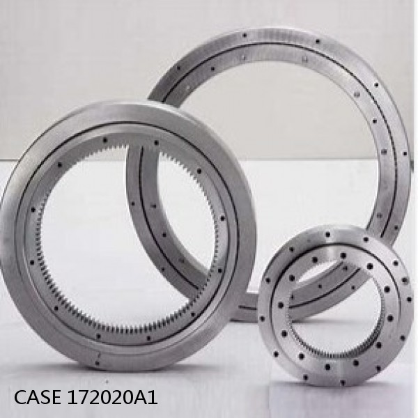 172020A1 CASE Slewing bearing for 9050B