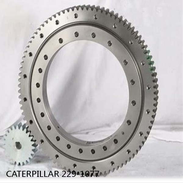 229-1077 CATERPILLAR Turntable bearings for 312C #1 small image
