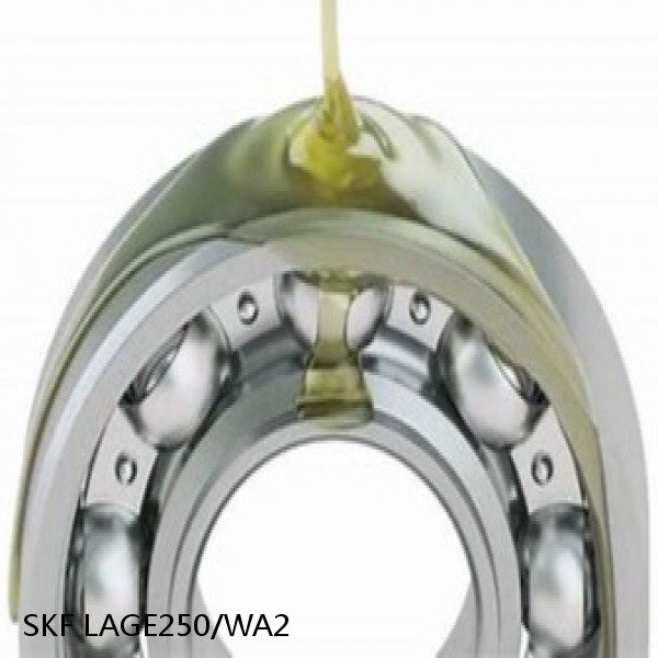 LAGE250/WA2 SKF Bearings Grease #1 small image