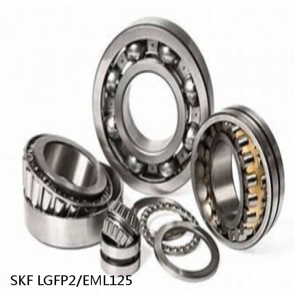 LGFP2/EML125 SKF Bearings Grease #1 small image