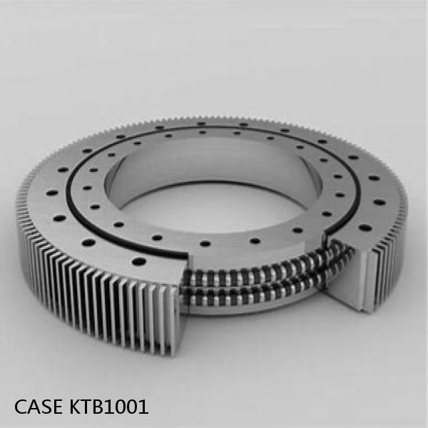 KTB1001 CASE Turntable bearings for CX460 #1 image
