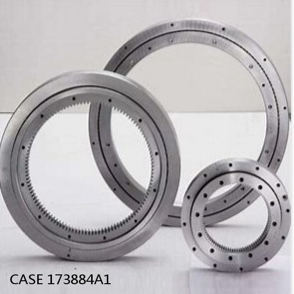 173884A1 CASE Turntable bearings for 9050B #1 image