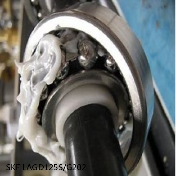 LAGD125S/G202 SKF Bearings Grease #1 image