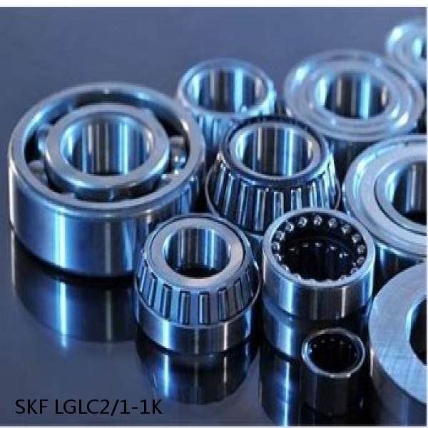 LGLC2/1-1K SKF Bearings Grease #1 image