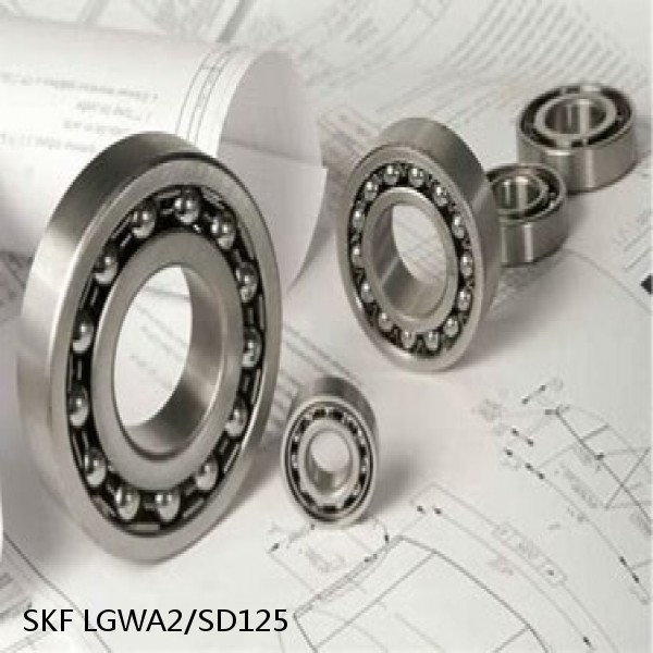 LGWA2/SD125 SKF Bearings Grease #1 image